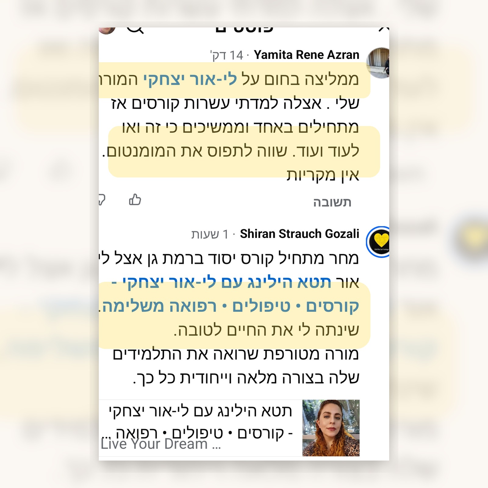 עדות מקורס תטא הילינג עם לי-אור יצחקי